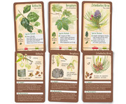 Bestimmungskarten Set Tour durch die Natur 4