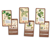 Bestimmungskarten Set Tour durch die Natur 5