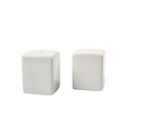Salz und Pfefferstreuer blanko 6er Set