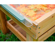 Insekten und Pflanzenbeobachtungsstand 5