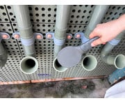 STEM Wand Thongophon 3