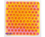 Sensorik Platten Liquid 6er Set 2