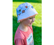 Sonnenhut 6