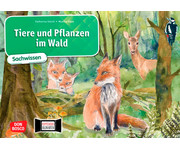 Kamishibai Bildkarten Tiere und Pflanzen im Wald 1