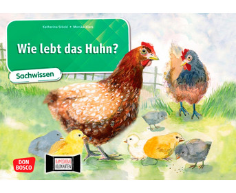 Kamishibai Bildkarten Wie lebt das Huhn?