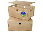 clipfritz Aufbewahrungsbox BOBBY mit Deckel 2 teilig