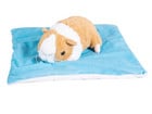 Vibrationskissen Meerschweinchen