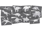 Bildkarten Set Dinosaurier mit Röntgenmotiven