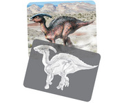 Bildkarten Set Dinosaurier mit Röntgenmotiven 2