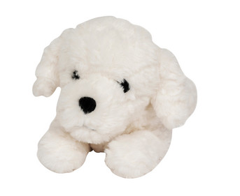 Gewichtstier Hund 0 6 kg