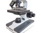 Betzold Schueler-Mikroskop A03-9