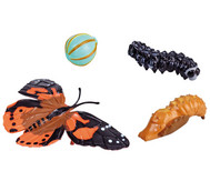Lebenszyklus-Figuren: Schmetterling