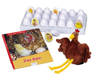 Set zum Lebenszyklus Huhn