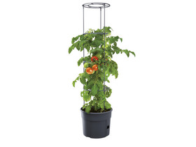 Tomaten-Pflanztopf