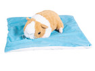 Vibrationskissen Meerschweinchen