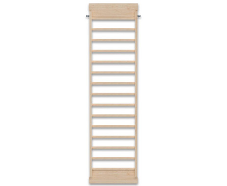 Kletterleiter Active
