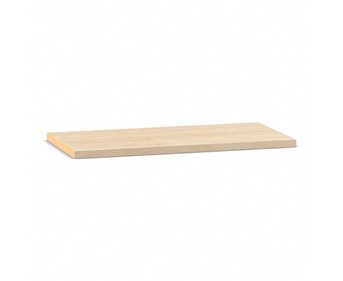 Flexeo® Fachboden für Schränke mit Regalfach 2 5 x 76 2 x 38 cm