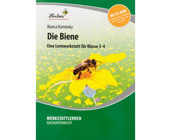 Lernwerkstatt: Die Biene