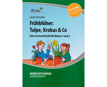 Lernwerkstatt: Frühblüher: Tulpen Krokus & Co