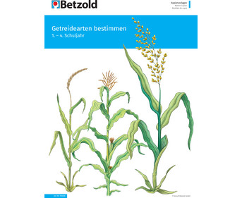 Betzold Themenheft Getreidearten bestimmen