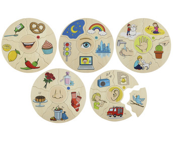 beleduc HUMANICO Puzzle 5 Sinne