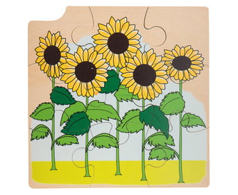 Wachstums Puzzle Sonnenblume