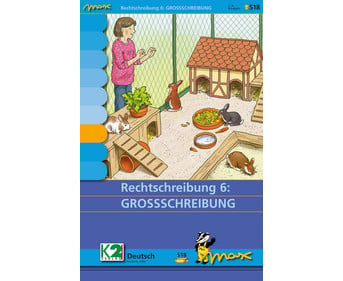 Max Lernkarten Rechtschreibung 6: Großschreibung