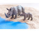 Betzold Afrikanische Tiere 18 tlg 5
